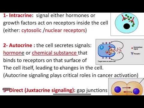 Lec7 || cell communication