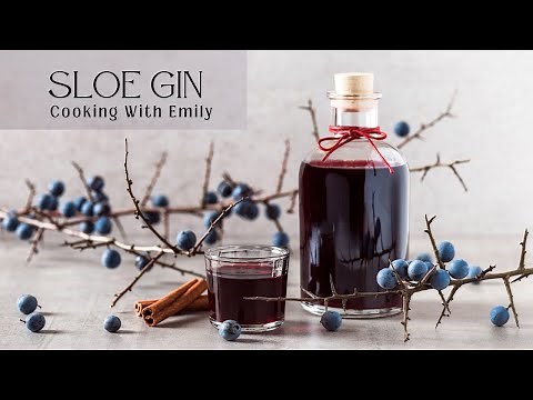 The Best Sloe Gin Recipe | Easy to Make Sloe Gin recipe