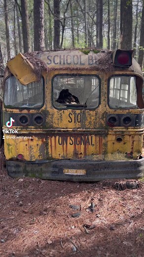13K views · 447 reactions | One of our school buses. | Old Car City USA | Facebook