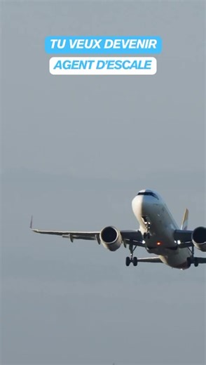 Commente « JOB » pour postuler et envoie ton CV par mail 📩 contact@emploi-log.org #paris #paris #paris #cdg #france