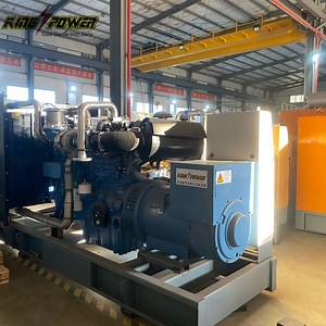 [Hot Item] 1000kw Natural Gas Biogas CNG LPG LPG Generator with Synchronizing System