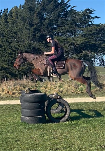 Amazing First Jumping Experience with My Ottb