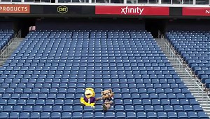 2.3K views · 107 reactions | While Tech alumni are tailgating at today’s Tennessee Titans game, T-Rac gave Awesome Eagle a tour. Of course Awesome made sure there was plenty of purple in Nissan Stadium! #WingsUp #TitanUp | Tennessee Tech University | Facebook