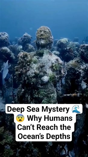 Deep Sea Mystery 🌊😨 Why Humans Can’t Reach the Ocean’s Depths #shorts #facts #shortsfeed #viral