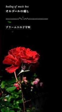 【癒しオルゴール名曲】ブラームスの子守唄（ゆっくり・おやすみ・睡眠・瞑想）【Relaxing Music Box】Brahms: Wiegenlied (Lullaby)