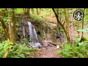 Sounds Of A Forest Waterfall. 12 Hours of 4K Video For Sleep, Relaxation, and Study.