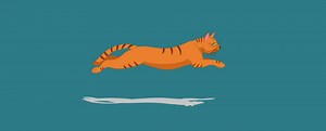 Cat Run Cycle Animation