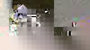 အင်္ဂလိပ်ဘာသာစကား လေ့လာနေသူတွေ အတွက် VOA Learning English က ဗီဒီယိုကို ပြန်လည် မျှဝေပေးလိုက်ပါတယ်။ Let's Learn English (Level 2) Lesson 12 : Run! Bees! Video တွေကို အလွယ်တကူ Download ရယူနိုင်ဖိုအတွက် AELC Telegram Channel ကို https://t.me/aelcofficial မှာ Join ထားနိုင်ပါတယ် #AELC #VOALearningEnglish | AELC - Acuity English Language Centre