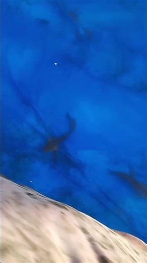 my small fish pond🥰🥰🥰🥰🥰