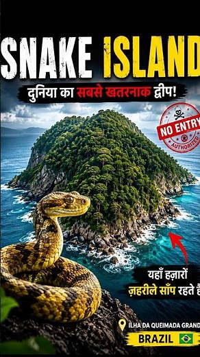 The Most Dangerous Island on Earth? | Snake Island Explained #facts