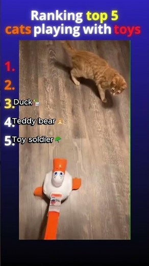Top 5 CATS PLAYING WITH TOYS🧸🐱 #cat