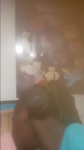 The Princess And The Frog The Movie The Frog Hunters