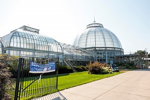 Historic Michigan conservatory, known for rare, exotic plants, to finally reopen