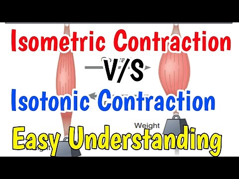 Isometric contraction||Isotonic contraction Isometric contraction vs isotonic contraction