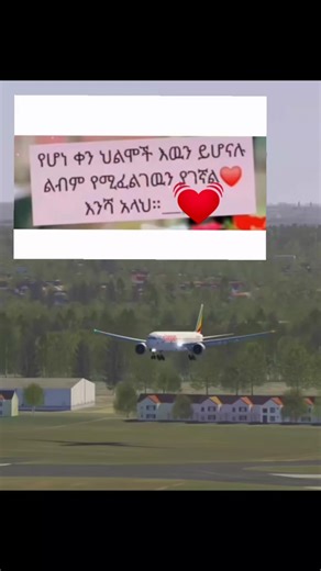 Airplane Landing: Capturing the Moment on Video