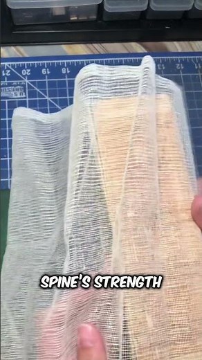 Book Restoration/Rebinding EXPLAINED 😱