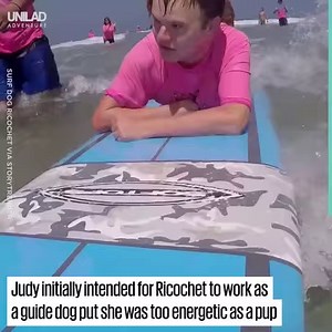 86K views · 1.6K reactions | This surfing dog is helping teach disabled people how to surf!  | UNILAD Adventure | Facebook