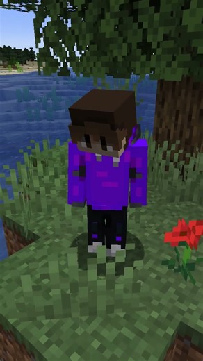 Diesen Insel Seed musst du kennen #shorts#minecraft#seed