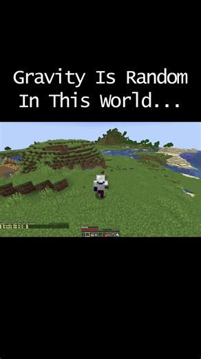 Exploring Gravity in Minecraft: A Random Experience