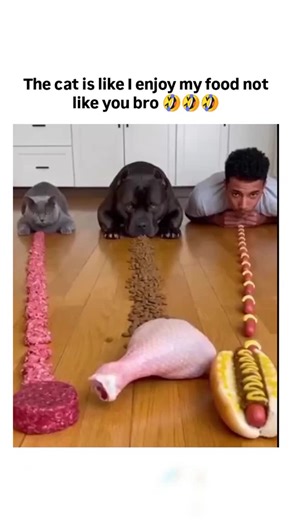 Zynox | The post shares a 10-second AI-generated video depicting a pit bull aggressively devouring a trail of sausage to reach a chicken leg, while... | Instagram