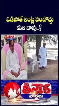 KTR Advice To Defeated Sarpanches .. Then What About KCR ? | V6 Shorts