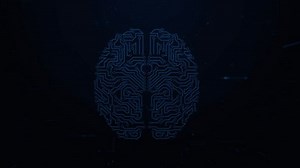 Artificial Intelligence Ai Digital Brainbrain Animation Stock Footage Video (100% Royalty-free) 1046543653 | Shutterstock