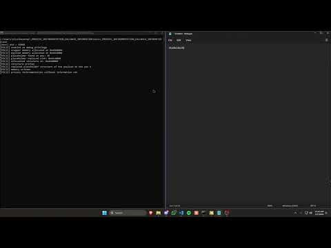 _PROCESS_INSTRUMENTATION_CALLBACK_INFORMATION shellcode injection