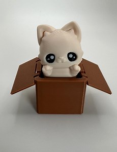 Kitten Fidget Clicker Toy: Cat-themed Sensory Stress Relief - Etsy