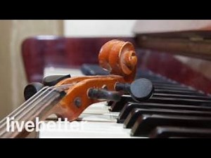 【トランペット - クラシック音楽】作業用BGM 癒し - 勉強用BGM - 音楽 仕事 - 集中音楽 - リラックス音楽 - リラクゼーション 曲 - インストゥルメンタル -