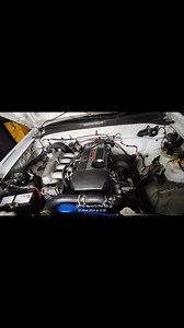 Race Breed Technology - RBT on Reels