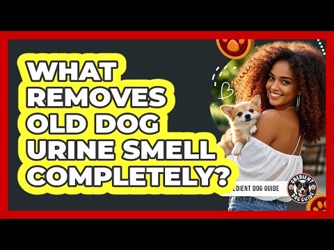 What Removes Old Dog Urine Smell Completely? - Obedient Dog Guide