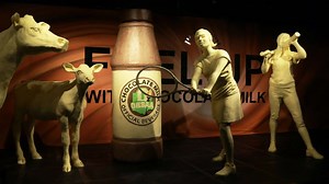 17K views · 179 reactions | This year's butter cow display at the...