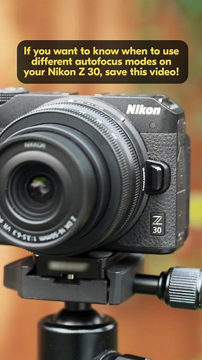 Nikon Z30 Autofocus Settings Explained