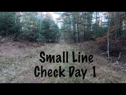 Predator Trapping In PA 2025-26 Ep. 1 #bobcattrapping #coyotetrapping #foxtrapping