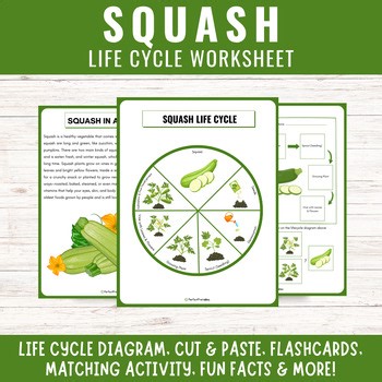 Squash Plant Life Cycle | Fall Harvest Science unit study with fun facts!