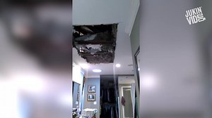 472K views · 736 shares | I don't think a trash can is gonna help... | This is Happening | Facebook