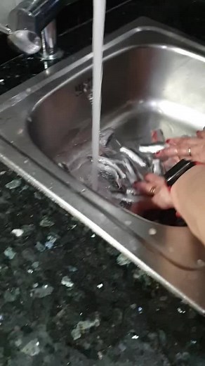 Preparing Fresh Fish in a Modern Kitchen