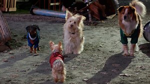 ‘Pup Star: Better 2Gether’ Trailer 2