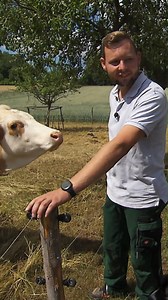 Wie süß! Erik hat eine Überraschung für Julia - ein 7 Tage altes Kälbchen 🐮🍼 Mehr Landleben gibt es jetzt bei RTL. 🌾 #BauerSuchtFrau #BauerSuchtFrau18 #Staffel18 #Folge3 #RTL | Bauer sucht Frau