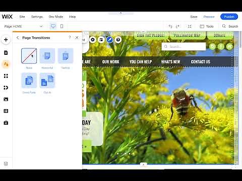 How to edit Page Transitions in Wix