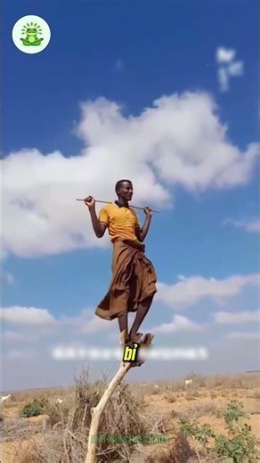 Unveiling the Secrets of African Tree Sleeping Techniques!