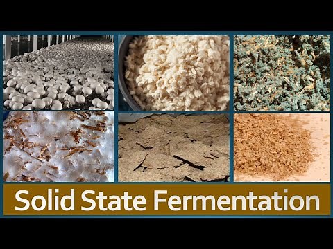 Solid State Fermentation: Overview, Factors affecting SSF, Advantages, Limitations and Applications