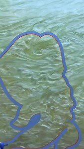 16K views · 1.5K reactions | Y’all love this dirty banana design and I can’t blame you! If you have been in love with this one for a while or it was love at first sight, today is your last chance to get it 20% off! Cyber Monday sale ends at midnight! | Mindflowers Shop | Facebook