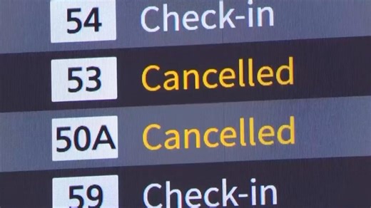 Japan's ANA airline affected by software fix for the Airbus A32