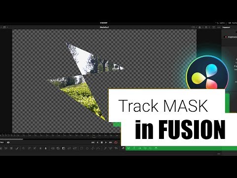 How to track MASK using Tracker in Fusion. Davinci Resolve