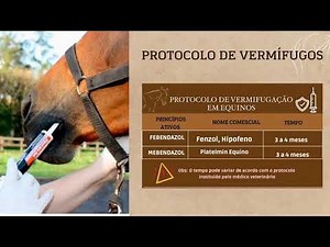 Manejo sanitário, vermifugação e vacinação em Equinos.