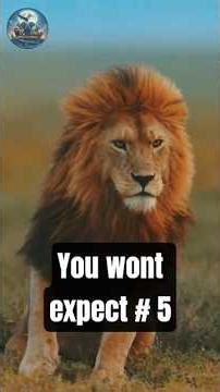 Baby Animals That Had the Most INSANE Glow Ups! 🐾✨