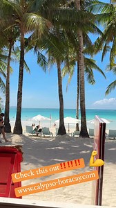 Calypso Beach & Dive Resort | Calypso Beach & Dive Resort