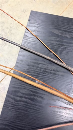 Discover the Rare Black Bark on Red Maple Trees