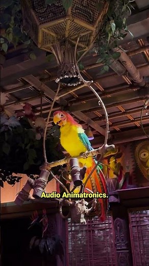 History of Audio-Animatronics | From Birds to the Bayou